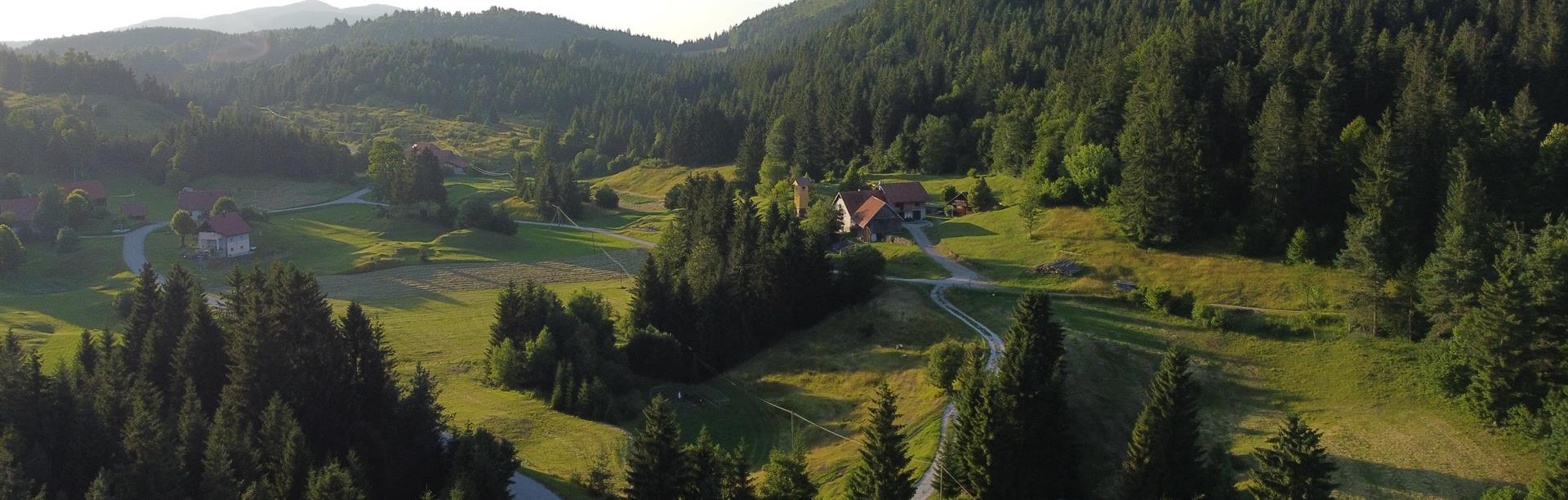 Novi Kot